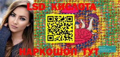 ешки Камышлов
