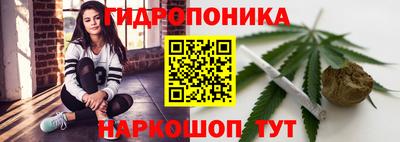 ешки Камышлов